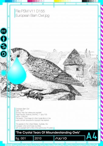 bluetear001_2010