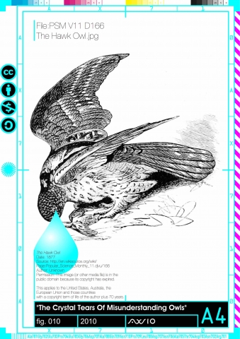 bluetear010_2010
