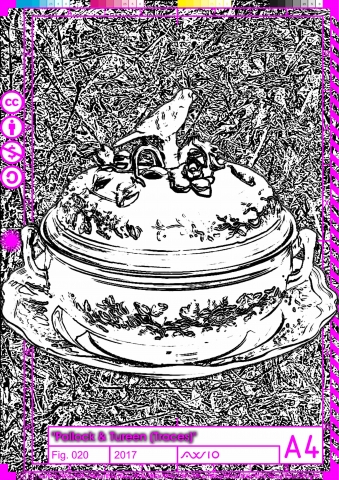 polturtrace020_2017