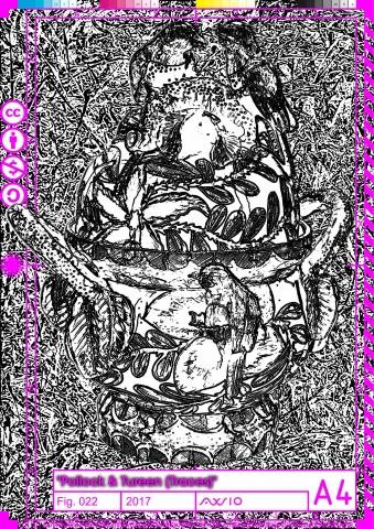 polturtrace022_2017
