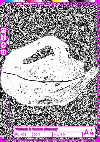 polturtrace028_2017