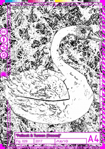 polturtrace029_2017