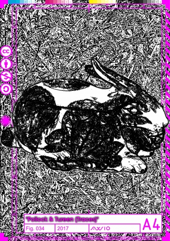 polturtrace034_2017