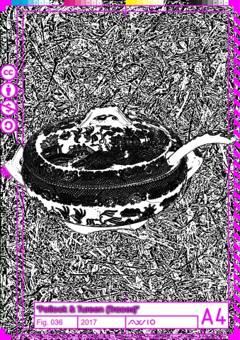 polturtrace036_2017