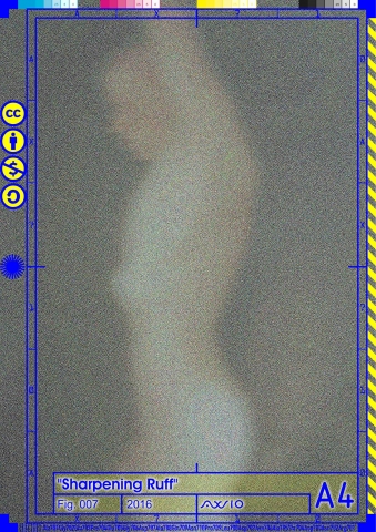 ruff007_2016