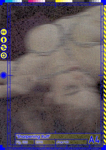 ruff008_2016